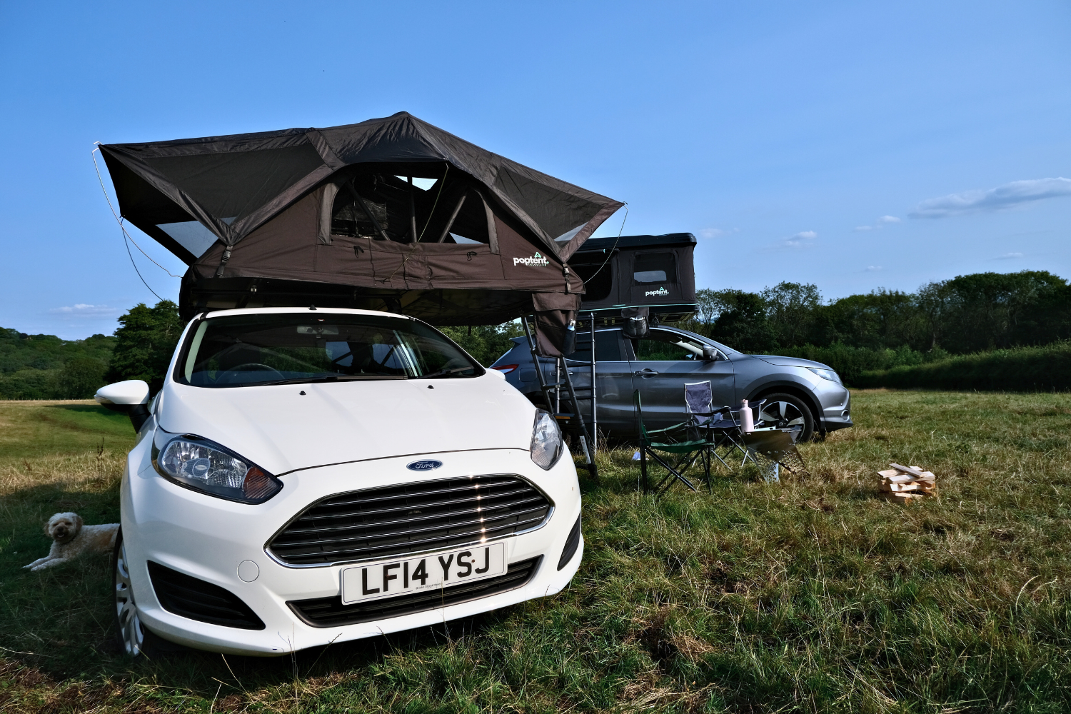 Two rooftop tents mounted on a white Ford Fiesta and silver SUV in a grassy field campsite, with camping chairs, a stove, and a dog resting nearby